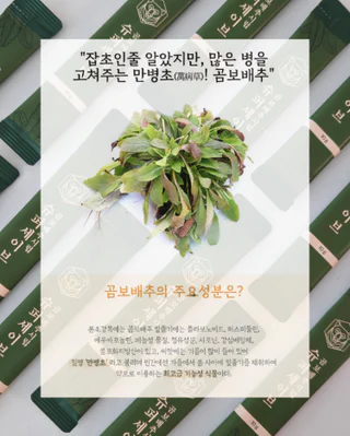 상품 이미지 2
