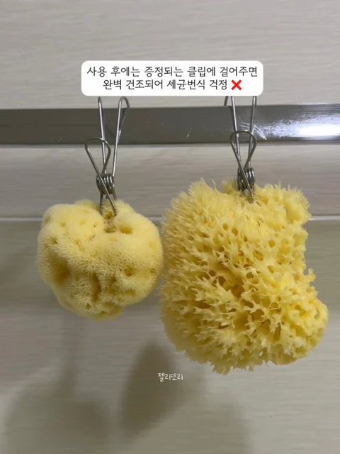 룰라러브 그리스 프리미엄 천연해면