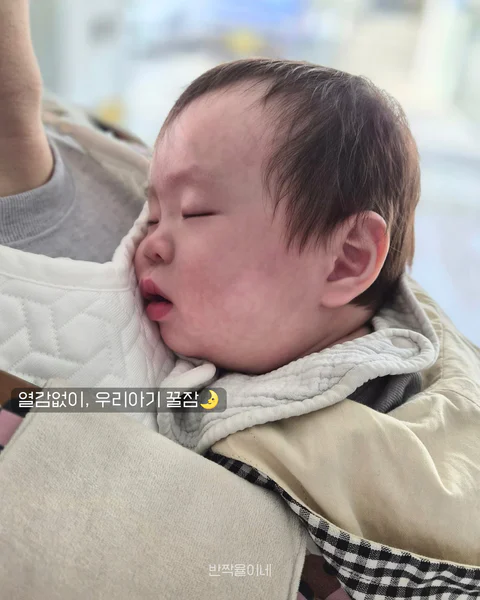 듀라론 냉감 아기띠패드