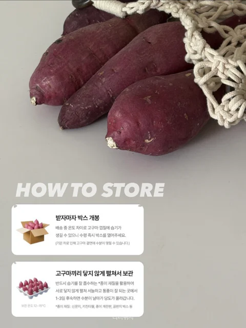 도시농장 로얄벌꿀고구마