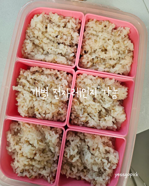 이지앤프리 튼튼이 웨이브킵 나눔용기