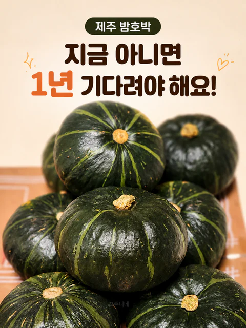 산지직송 제주 밤호박