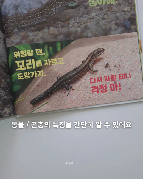 뮤고랑 동물매거진 , 마이 애니멀 프렌즈 9종
