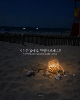 상품 이미지 4
