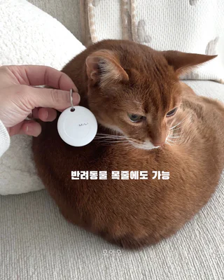 상품 이미지 6