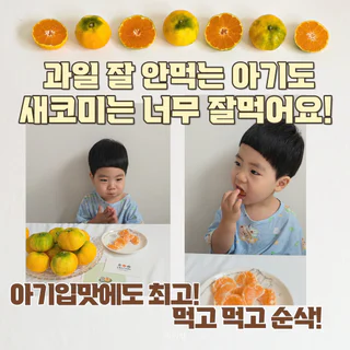 상품 이미지 2