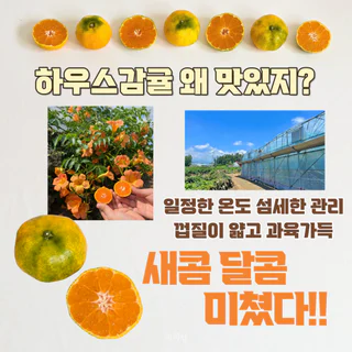 상품 이미지 4