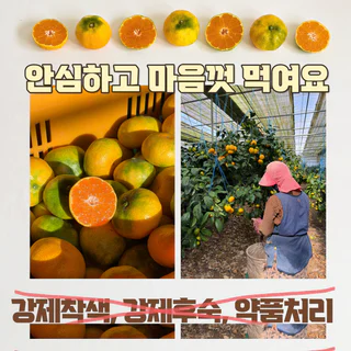 상품 이미지 6