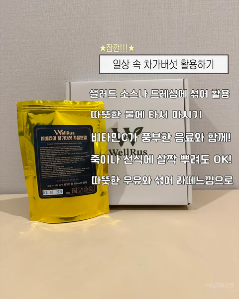 차가버섯 추출분말
