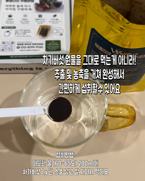 차가버섯 추출분말
