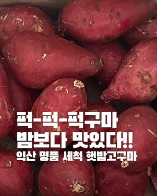 상품 이미지 2