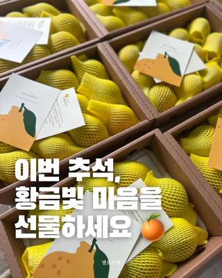 상품 이미지 2