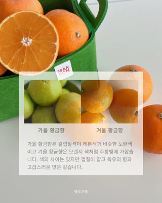 상품 이미지 5
