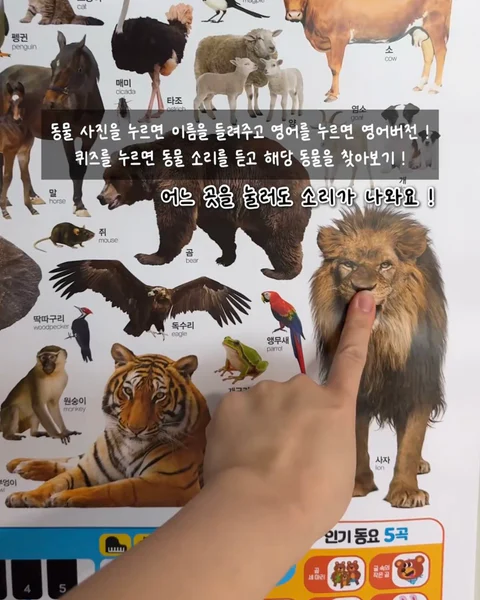 콕콕콕사운드벽보