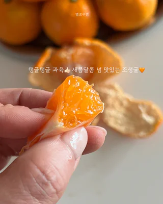 상품 이미지 2
