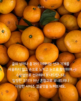 상품 이미지 5