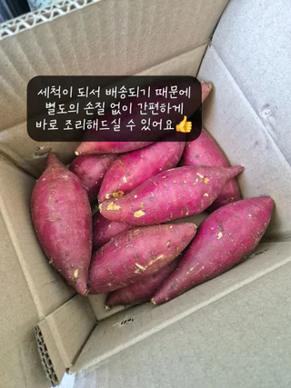 상품 이미지 5