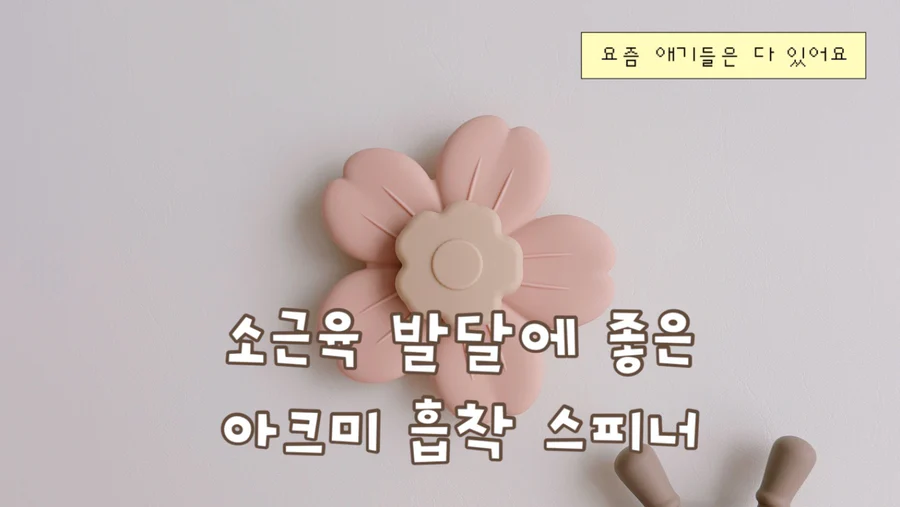 아크미 흡착 스피너