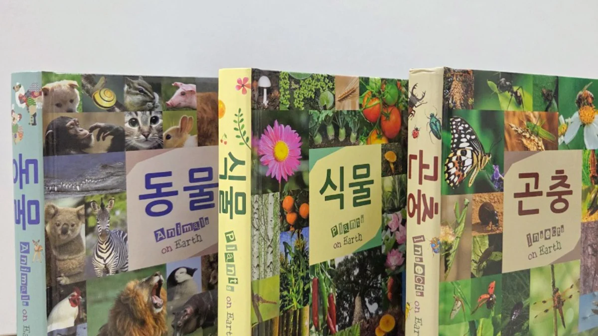 연두비 어린이 포켓도감