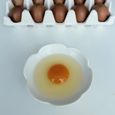 난각번호 1번 무항생제 유정란
