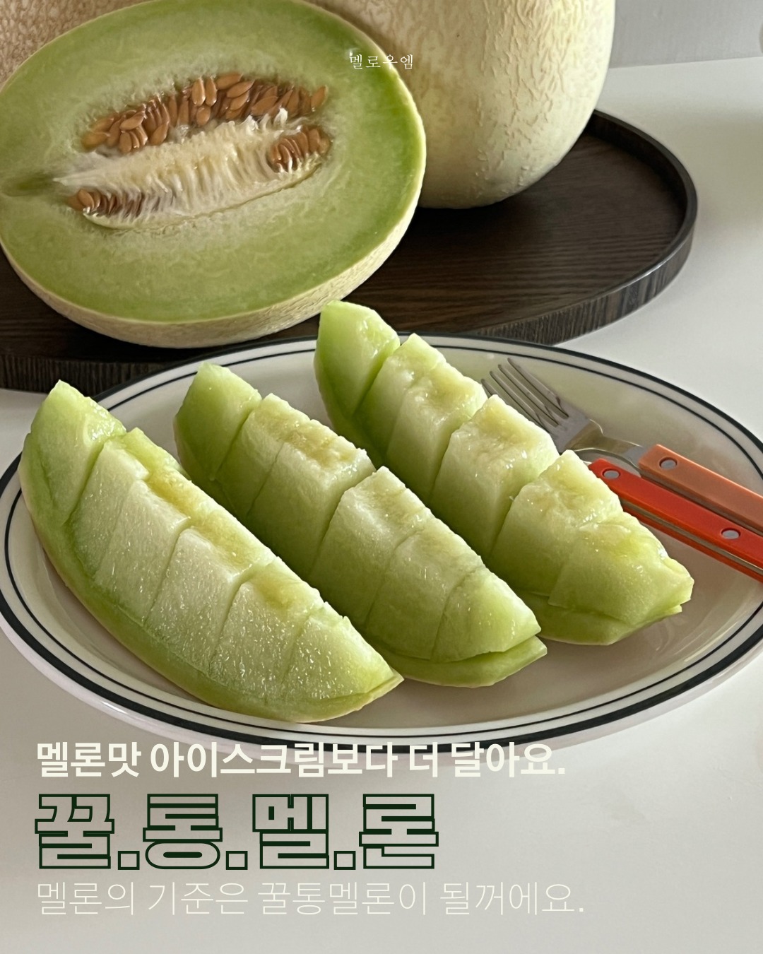 상세 본문 통이미지 1장