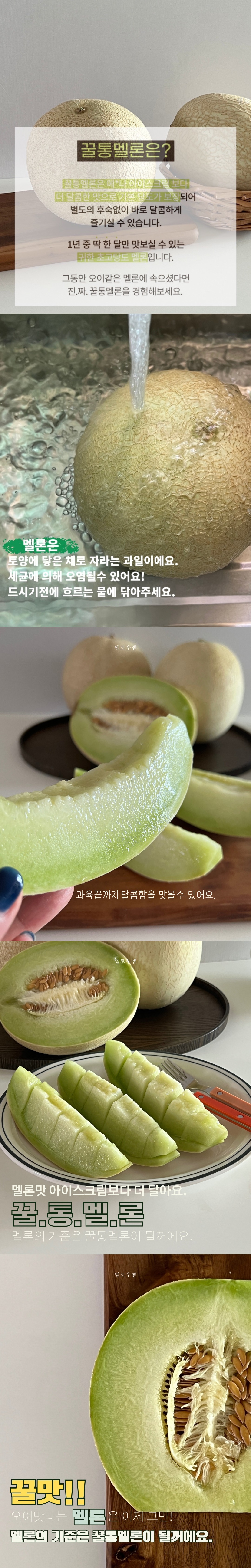 상세 본문 통이미지 5장