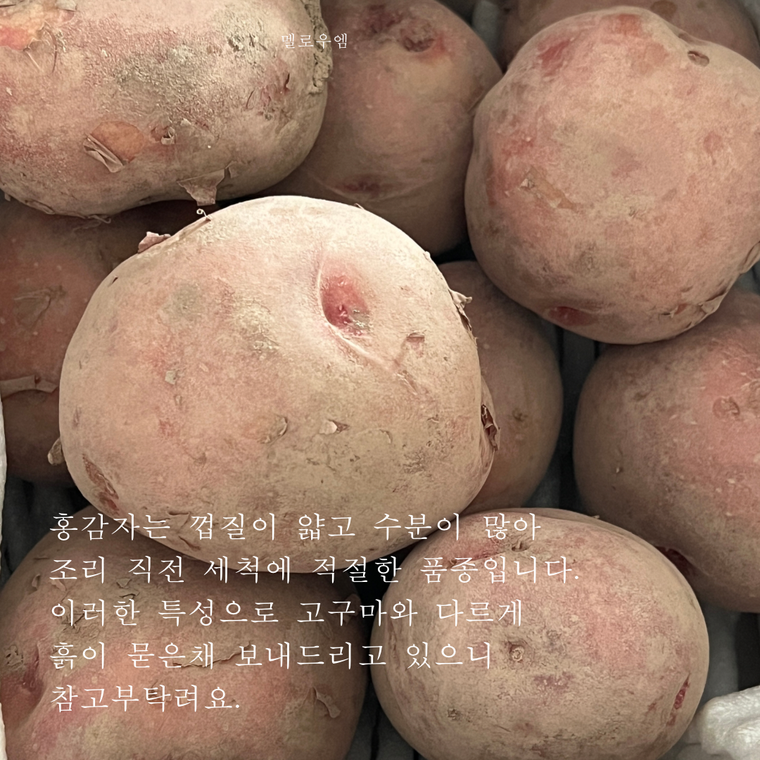 상품 이미지 2