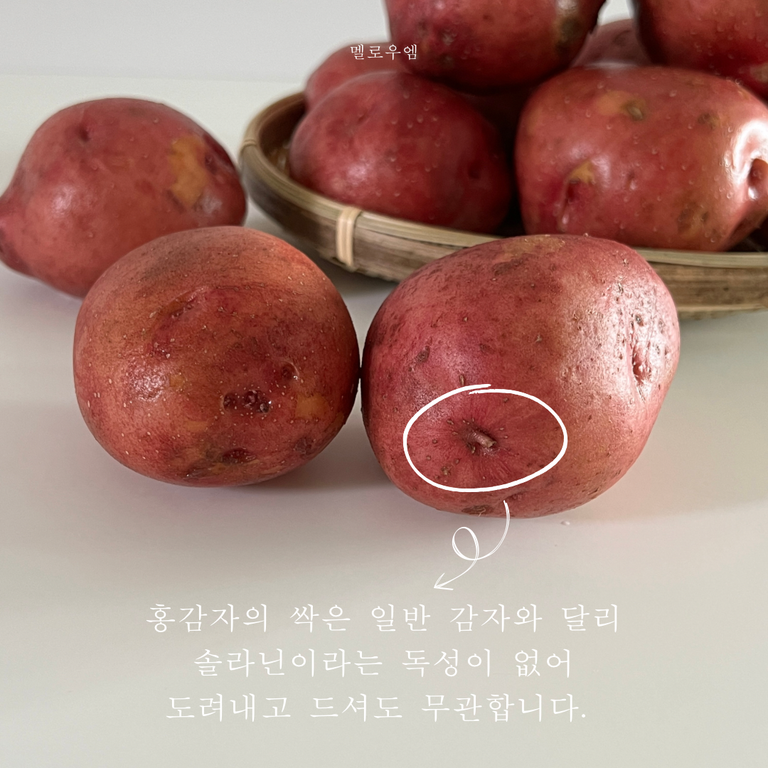 상품 이미지 3