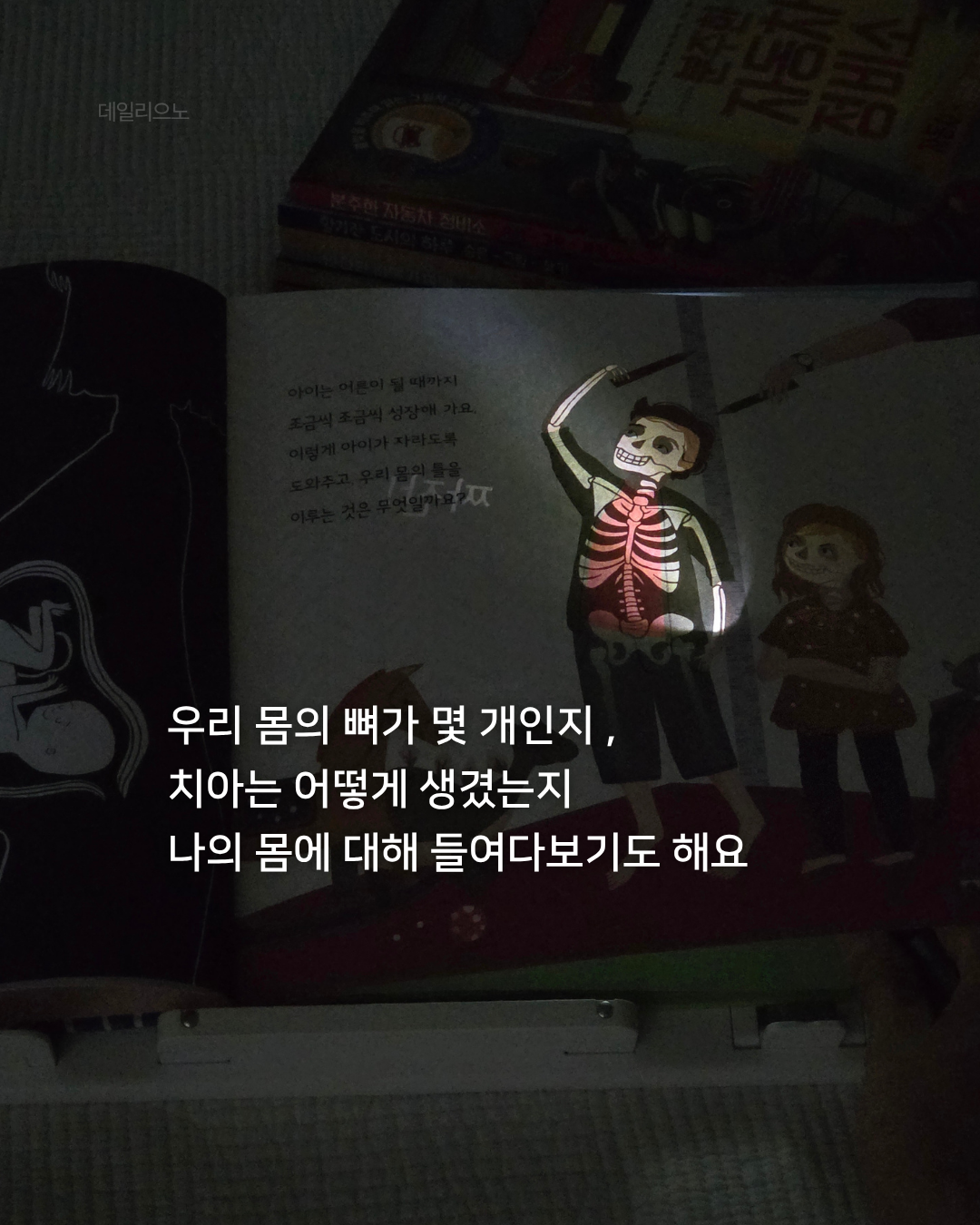 상품 이미지 2