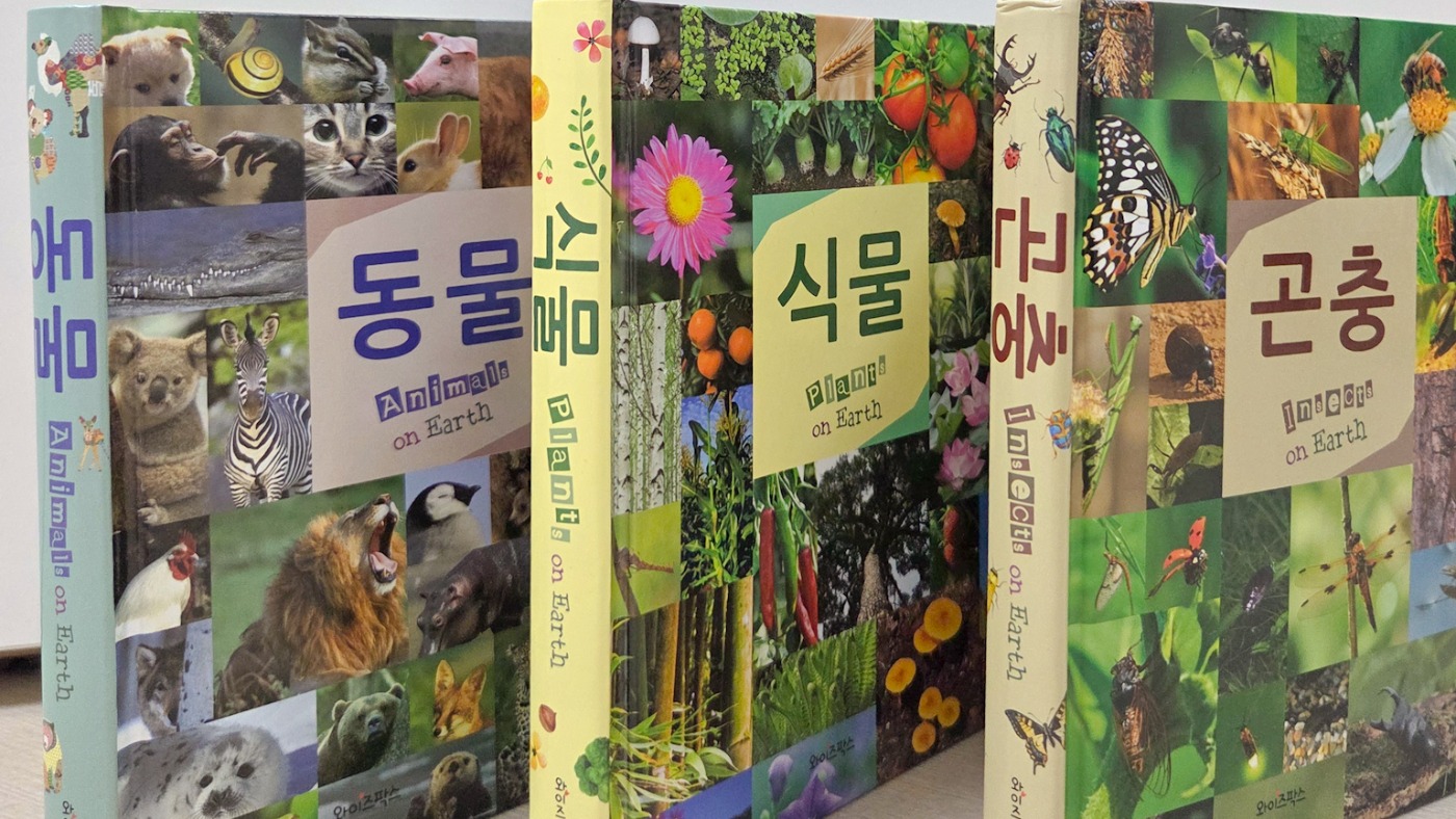 연두비 어린이 포켓도감