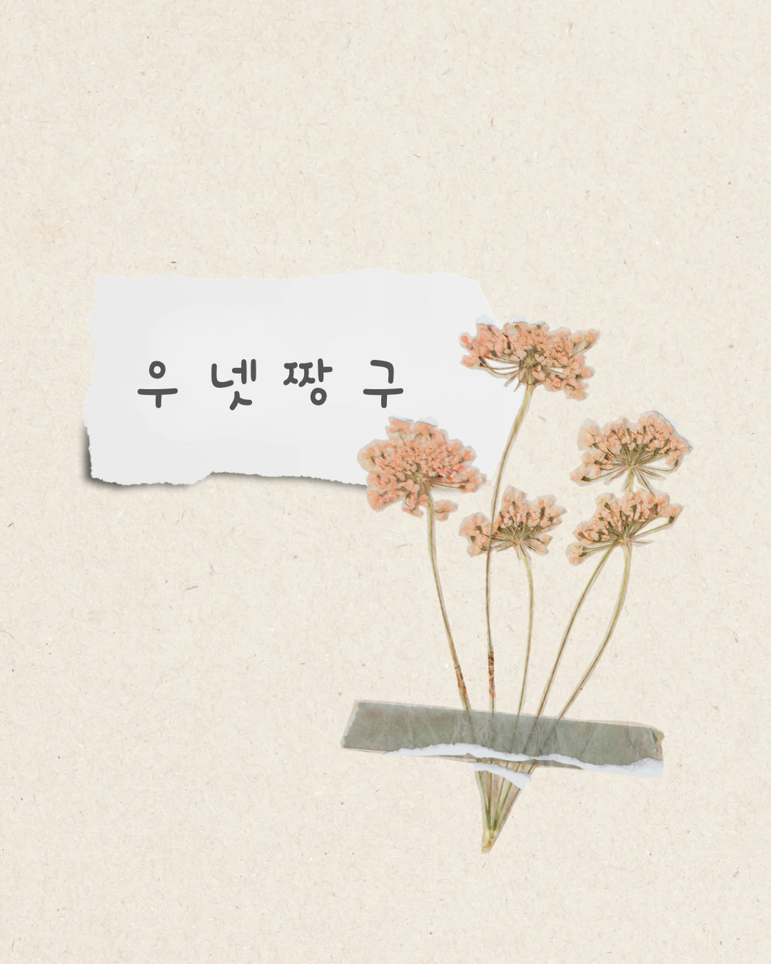기본 이미지